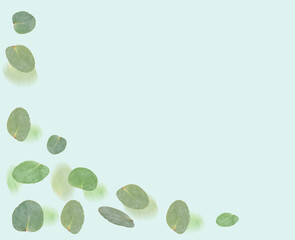 Eucalyptus leaves in air on light turquoise background