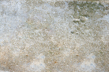 Spectacular texture of corroded metal due to being in a jungle environment.