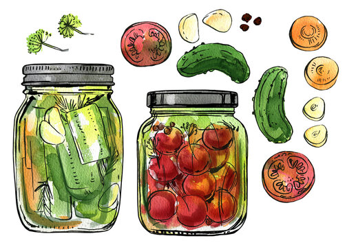 Jars with fermented vegetables. Tomatoes and cucumbers in a glass jar. Watercolor illustration of food on a white background. Color and ink