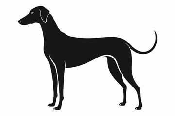Clean Vector Of Hound Breed With Tail Up