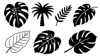 Vector tropical foliage featuring monstera leaves and a palm tree in a botanical arrangement graphic design on transparent background