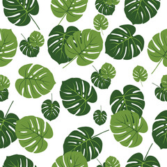 Tropical leaves.Pattern of palm leaves on white background.Tropical leaves for use in print, web, packaging, and textiles.