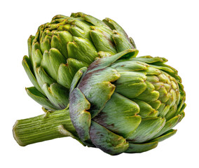 Harvesting fresh artichokes local farm food rustic culinary delight isolated on transparent background
