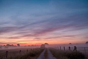 Obraz premium A tranquil country road is enveloped in a gentle mist, beautifully illuminated by a stunning sunrise