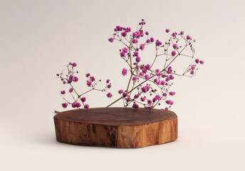 Wooden tree circle stump, platform podium plate, flower twig on beige gray background. Minimal...