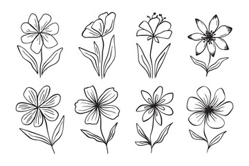 Ink flowers doodle art Hand drawn brush daisy flower set. Black paint elegant chamomile