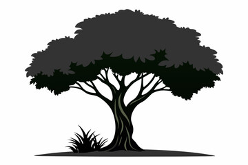 Fototapeta premium vector illustration of a tree