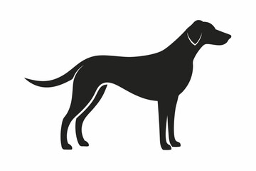 black silhouette of a dog