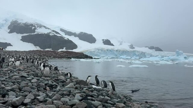 Big Iceberg in Antarctica Winter Scenery, Amazing Shape Ice Formation of Massive Large Enormous Blue Icebergs in Antarctic Peninsula Landscape Seascape with Ocean Sea Water