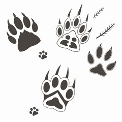 Fototapeta premium animal paw print