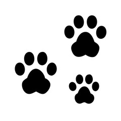 Fototapeta premium dog paw prints
