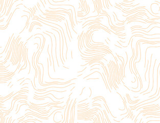 Obraz premium Abstract luxury gold line wood texture vector illustration. Organic shape wave pattern, abstract luxury tree graphic, trunk circles and topography map background