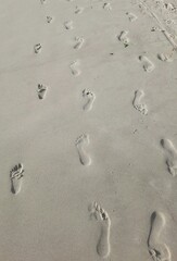 footprints in sand.
human footprints on wet sea sand	