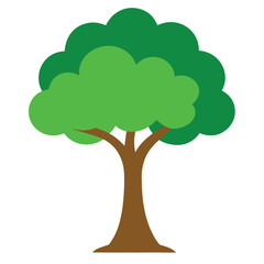 green tree isolated on white