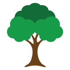 tree with green leaves