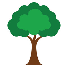 tree with green leaves