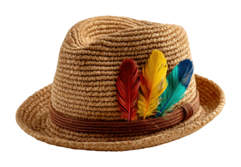 Decorative feathered straw hat market fashion accessory bright colors view isolated on transparent background