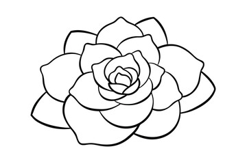 Elegant line art drawing of a single camellia flower