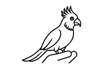 Line art illustration of a cockatoo perched on a hand