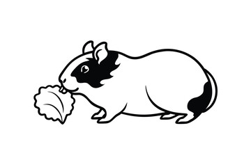 Adorable guinea pig eating fresh green leafy vegetable
