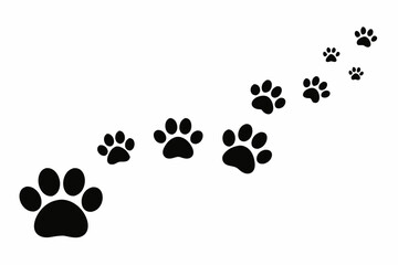 pet trail leading from small to large paws
