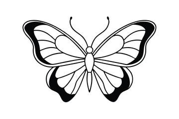 Elegant black and white butterfly illustration line art design