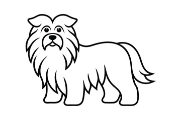 Fluffy longhaired dog breed outline illustration cartoon pet animal
