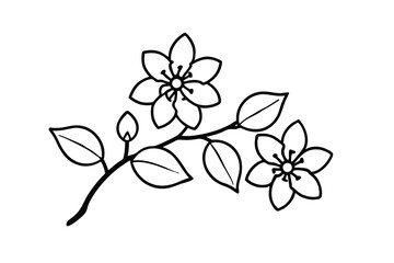 Simple line drawing of blooming flower branch
