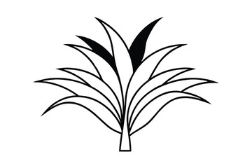 Simple Line Drawing of a Tropical Plant, Lush Foliage