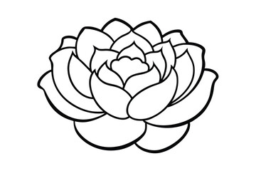 Elegant line art drawing of a single rose flower
