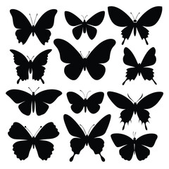 Collection of elegant black butterfly silhouettes on a white background in vector format