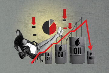 Full 3d image photo art collage of inexperienced businessman sit chair graph arrow decline gasoline...