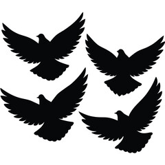 Fototapeta premium Silhouettes of four soaring pigeons symbolizing peace freedom harmony and tranquility against white background