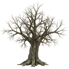 Fototapeta premium Ancient, Bare Tree: A Winter Landscape Element