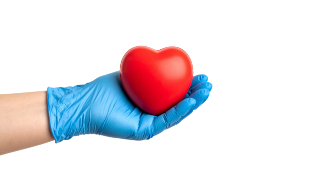 hand in medical glove holding red heart mockup png