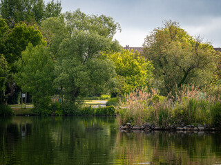Obraz premium Park on the river