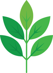 green leaves vector