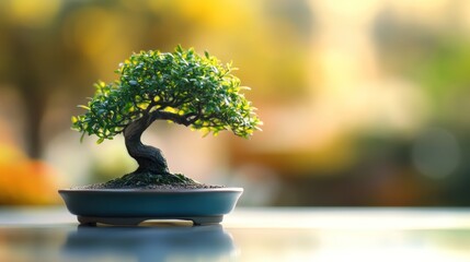 Miniature bonsai tree in pot, vibrant foliage