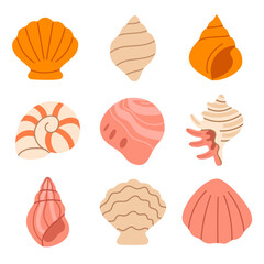 Collection of exotic and decorative seashells for marine and beach visuals