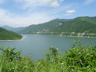 Scenic view of the Kura River flowing through green mountains in Georgia, with wildflowers and grass in the foreground under a blue sky with light clouds. Peaceful natural landscape in summer.