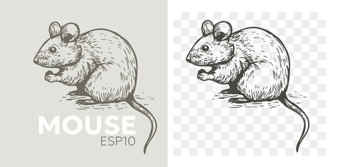 Mouse, rat, realistic illustration, vector sketch, hand drawn, monochrome