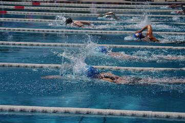 Group of swimmers are racing in a pool