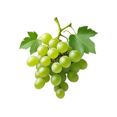 Cluster of green grapes with leaves isolated on transparent background 