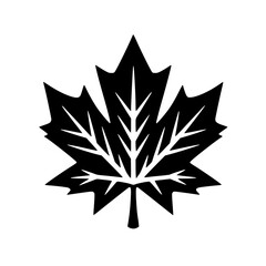 Obraz premium Maple Leaf Canada Day Vector SVG Clipart