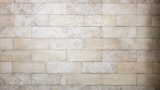 wall tiled with shell rock boards