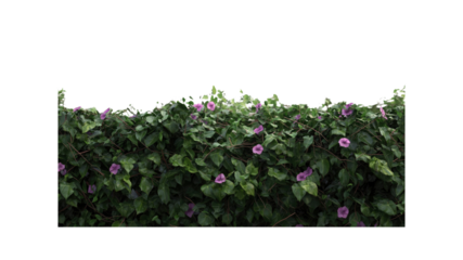 Lush Green Vine Wall with Delicate Purple Flowers