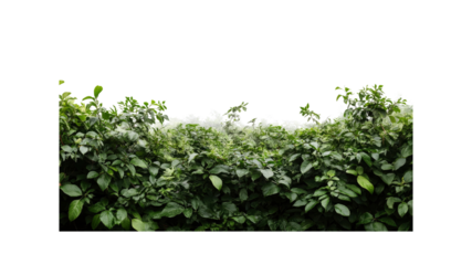 Lush Green Foliage Wall - Seamless Nature Texture