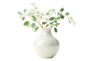 Elegant off white vase with eucalyptus sprigs isolated on transparent background