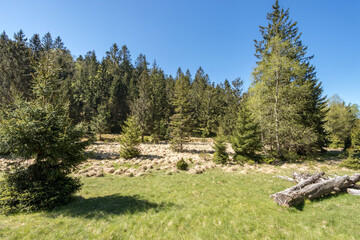 Hautes Vosges 