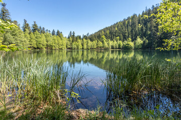 Lac de la Maix 